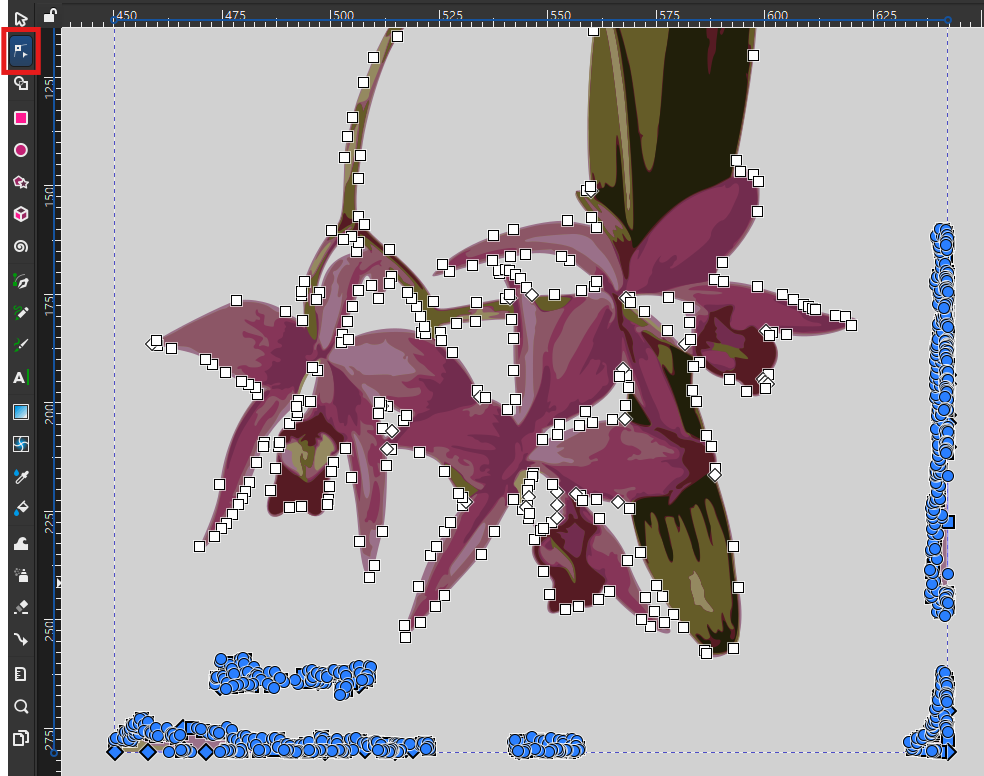 Screenshot of traced flower, one scan selected, with all nodes visible. The nodes on the edge of the image are blue because they are selected and ready to be deleted.